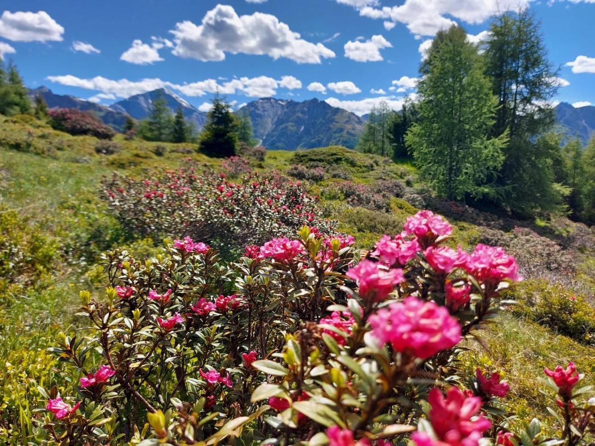 Haus Edelweiss Spiss Bei Samnaun Dış mekan fotoğraf