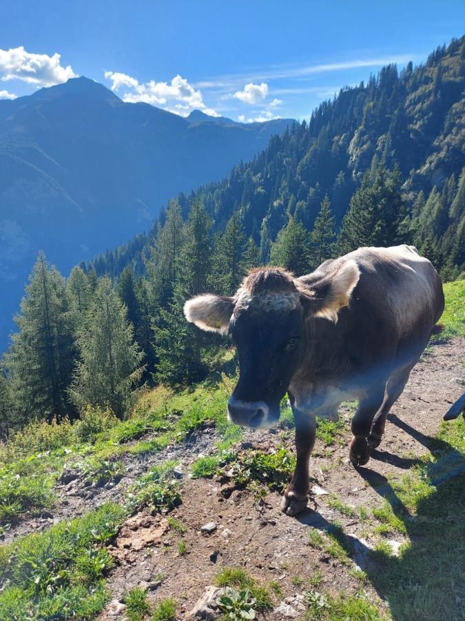 Haus Edelweiss Spiss Bei Samnaun Dış mekan fotoğraf